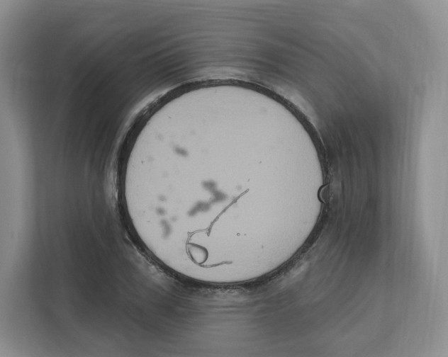 X0000111830979200908201147