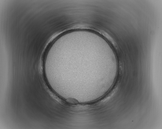 X0000111830981200908201147