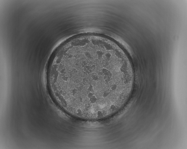 X0000111830983200908201147