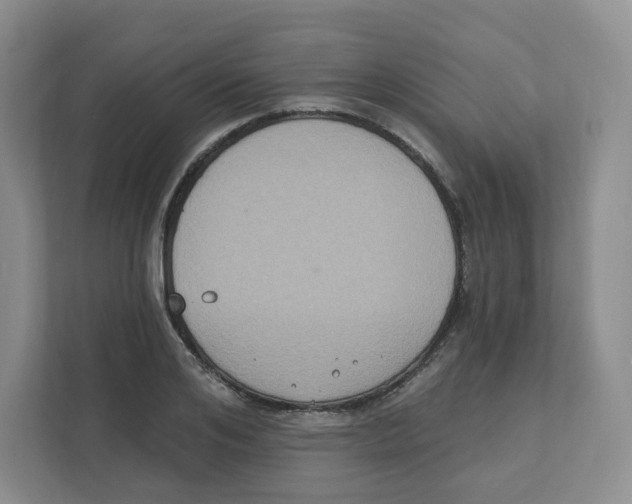 X0000111830984200908201147