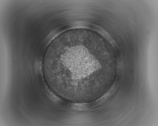 X0000111830985200908201147