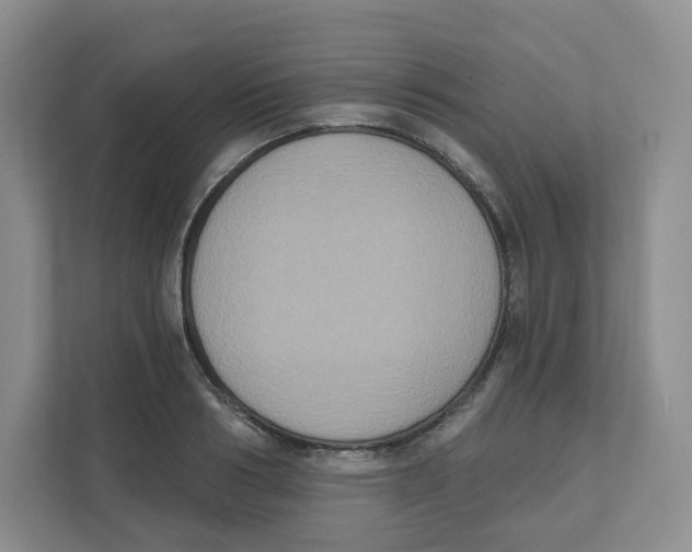 X0000111830986200908201147