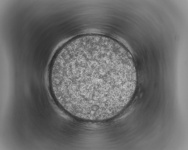 X0000111830987200908201147