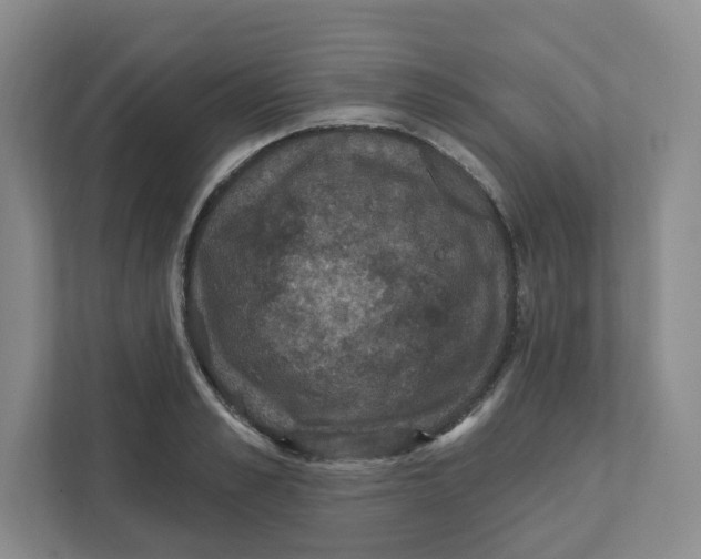 X0000111830989200908201147