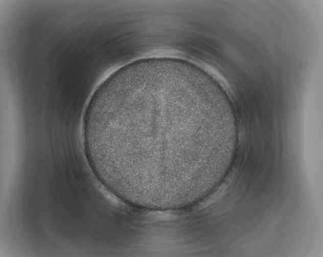 X0000111830990200908201147