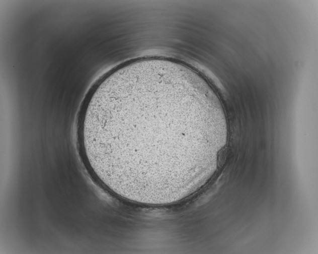 X0000111830991200908201147