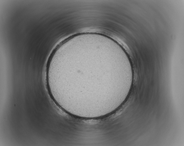 X0000111830992200908201147