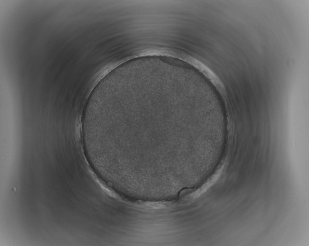 X0000111830993200908201147