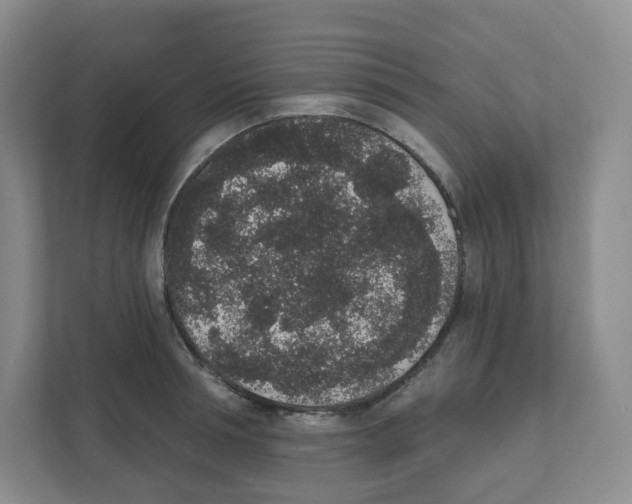 X0000111830994200908201147