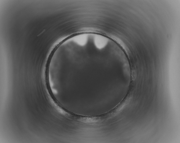 X0000111830995200908201147