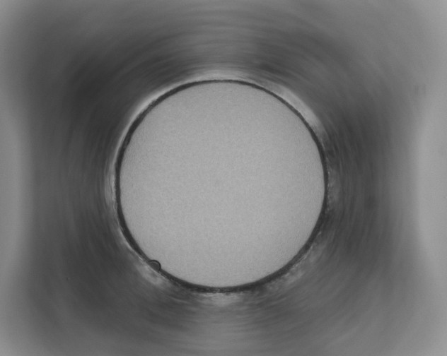 X0000111830996200908201147