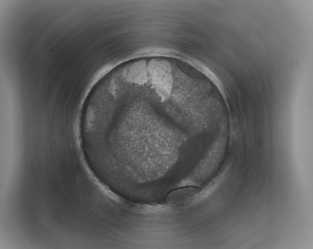 X0000111830997200908201147