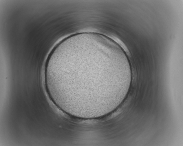 X0000111831000200908201147