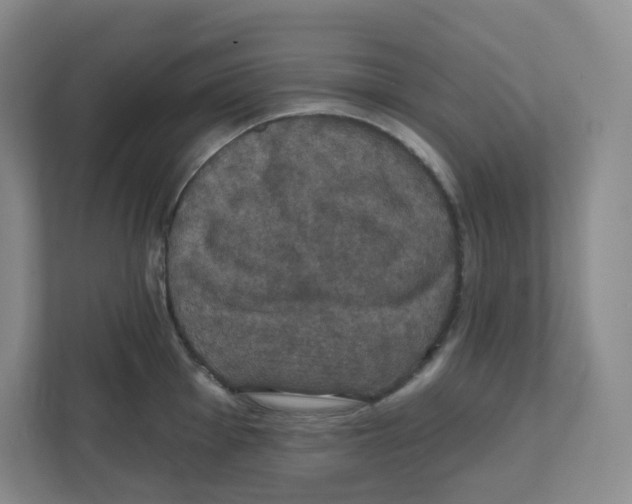 X0000111831001200908201147