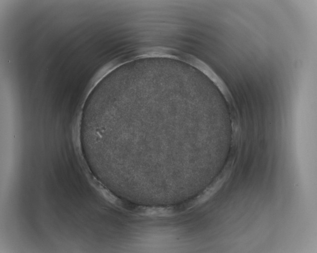 X0000111831002200908201147