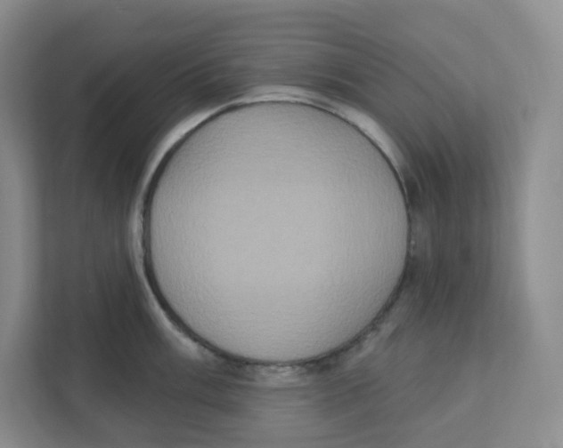 X0000111831003200908201147