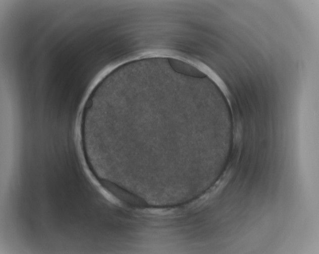 X0000111831005200908201147