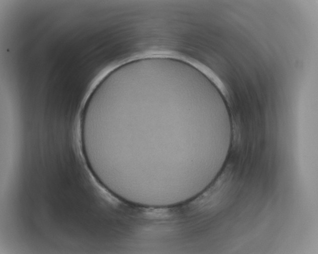 X0000111831006200908201147