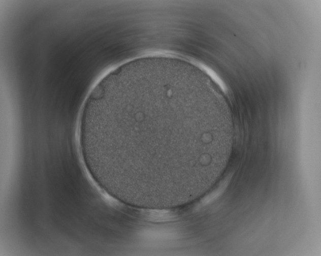 X0000111831007200908201147