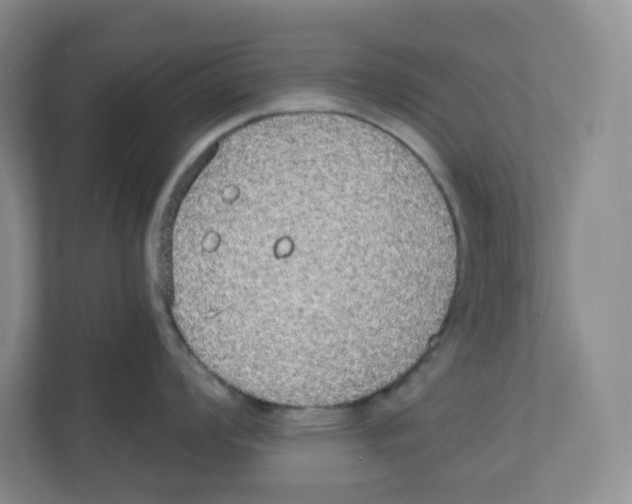 X0000111831008200908201147