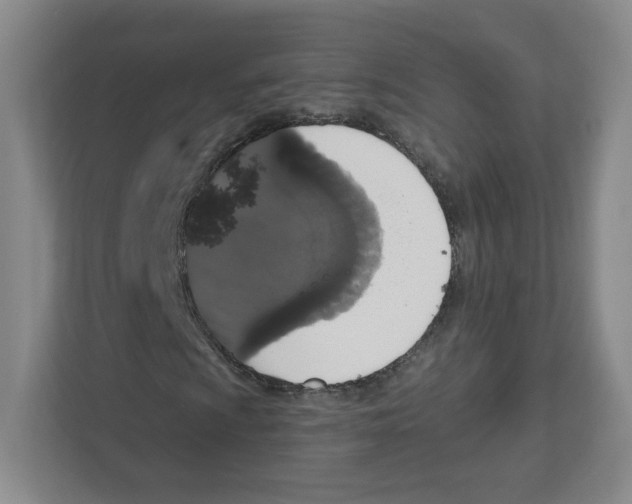 X0000111831009200908201146