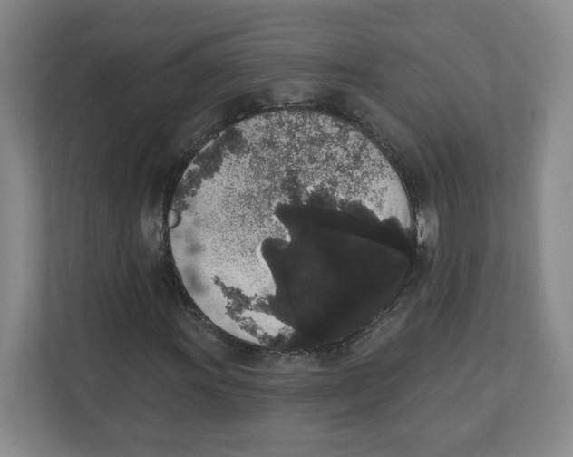 X0000111831011200908201146