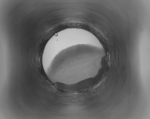 X0000111831013200908201146