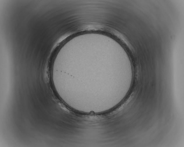 X0000111831018200908201146