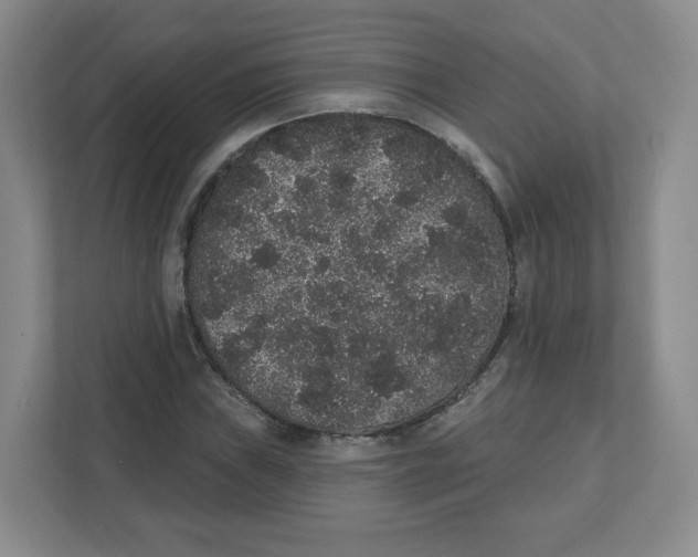 X0000111831019200908201146