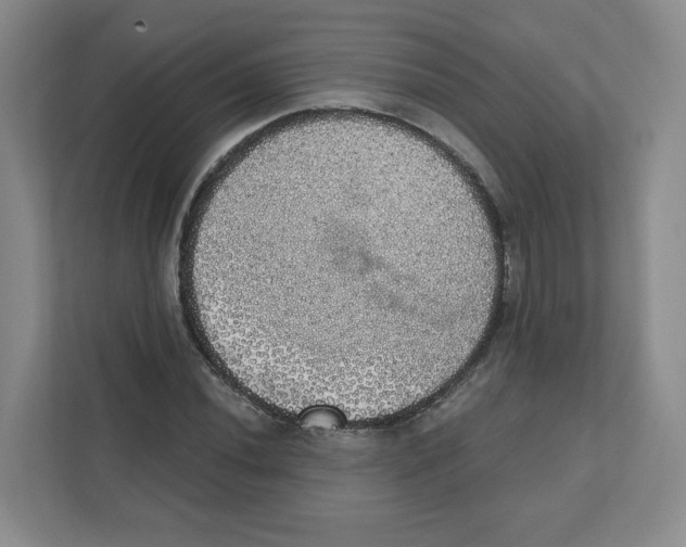 X0000111831020200908201146