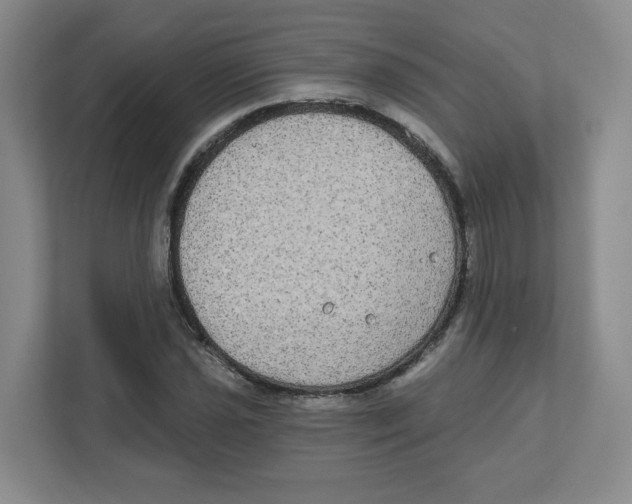 X0000111831021200908201146