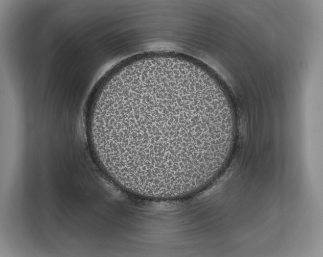 X0000111831022200908201146