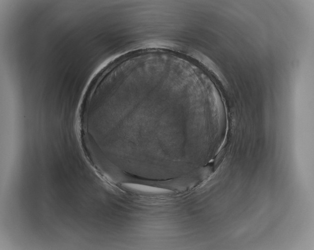 X0000111831024200908201146