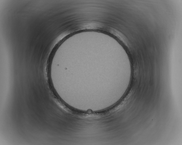 X0000111831026200908201146