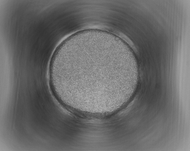 X0000111831028200908201147