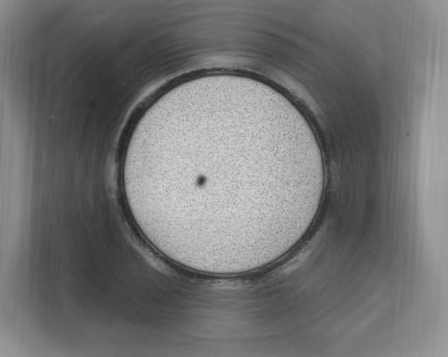 X0000111831029200908201147