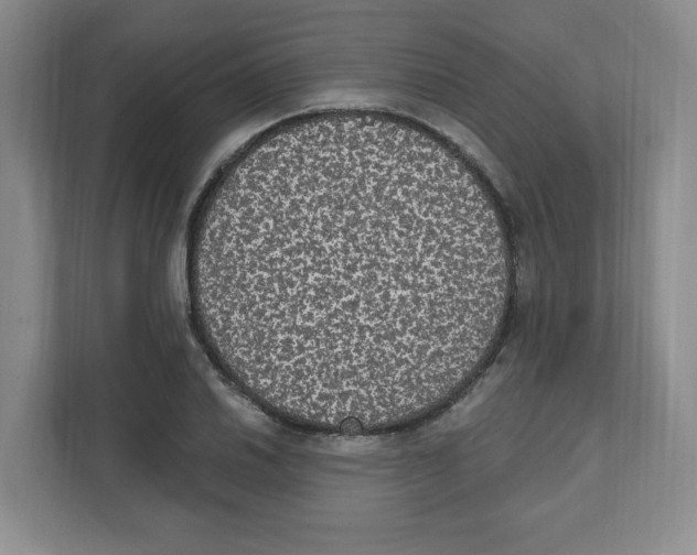 X0000111831030200908201147