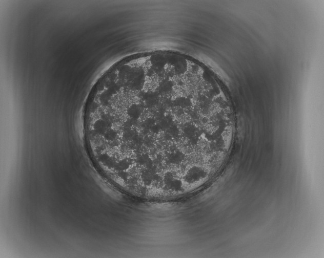 X0000111831031200908201147