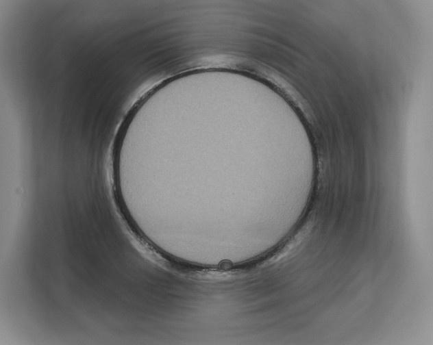 X0000111831034200908201147