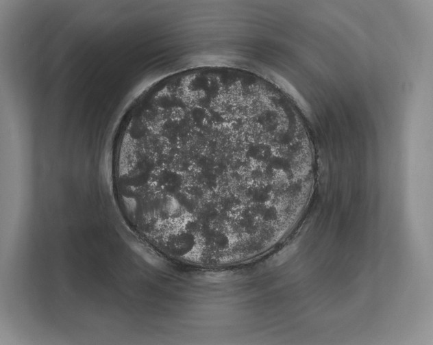 X0000111831035200908201147