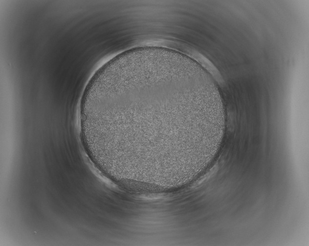 X0000111831036200908201147