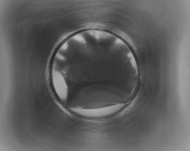 X0000111831037200908201147