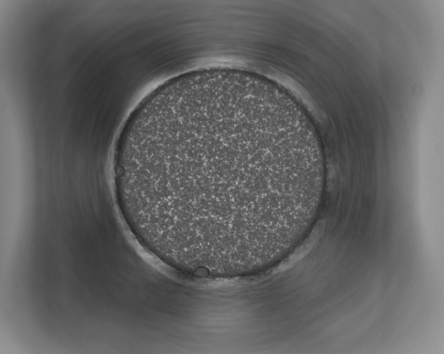 X0000111831038200908201147