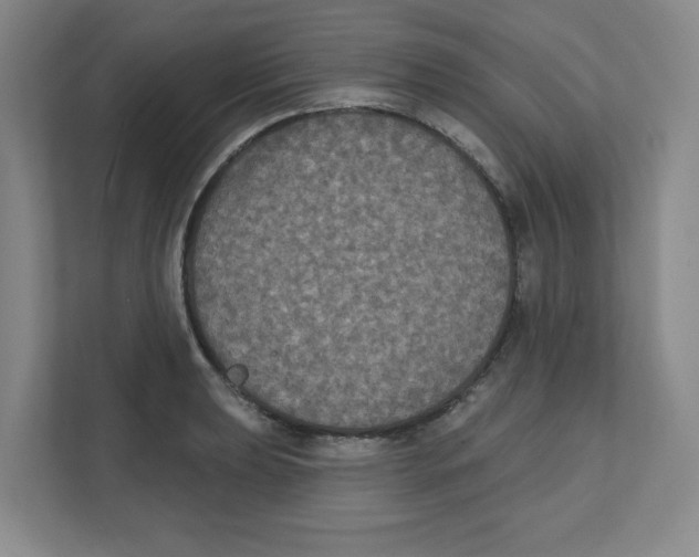 X0000111831039200908201147