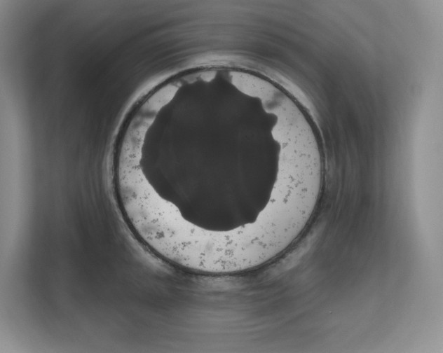 X0000111831045200908201147