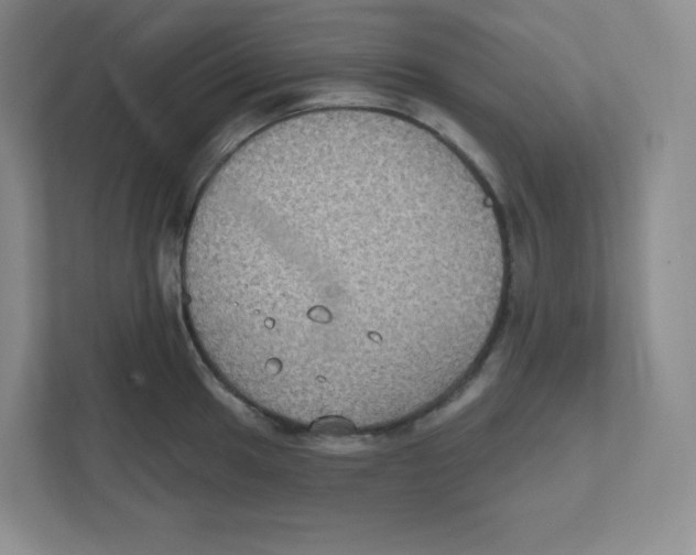 X0000111831049200908201147