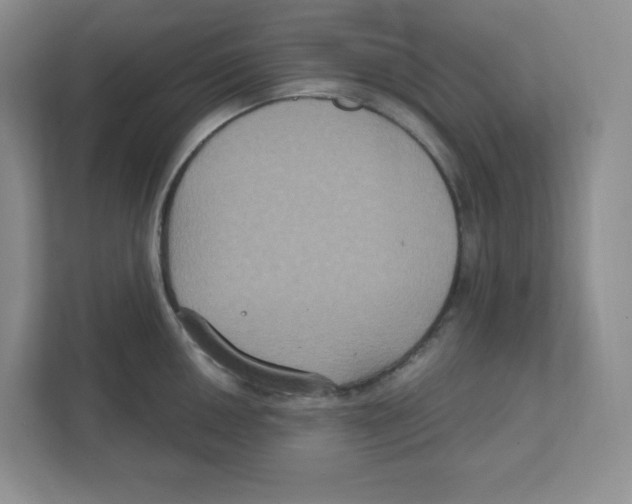 X0000111831050200908201147