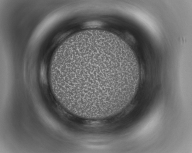 X0000111831054200908201147