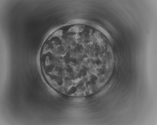 X0000111831055200908201147