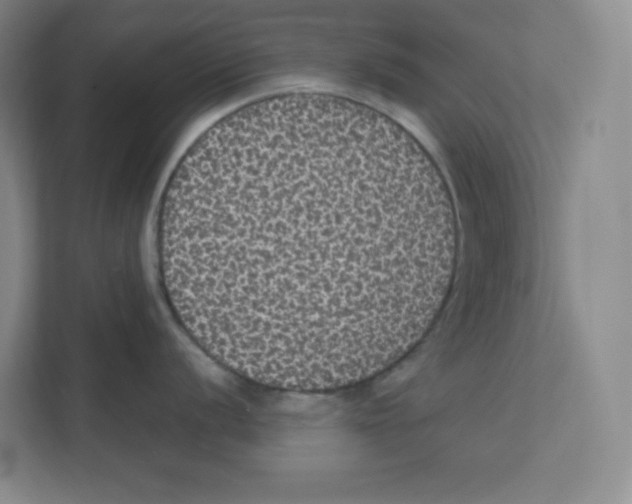 X0000111831056200908201147